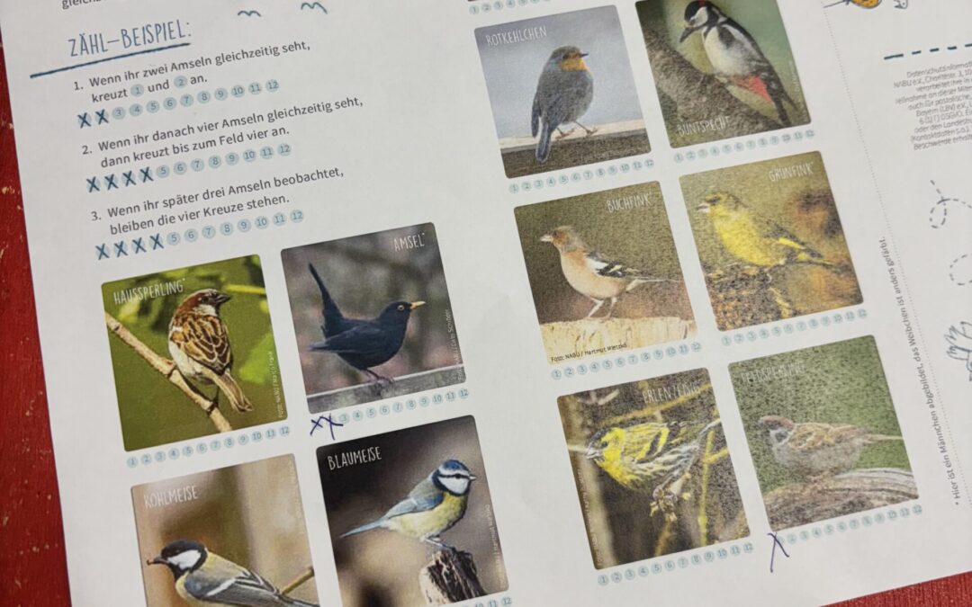 Stunde der Wintervögel